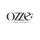 OZZE Sanat Akademi photo