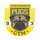 Pugs Gym Çukurambar photo