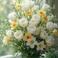 Ebru S. photo