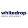 Whitedrop web agency srls photo
