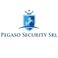 Pegaso Security Srl photo