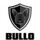 Bullo srl photo