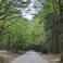 Fatma K. photo