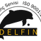Delfin Vinç Servisi & Modernizasyon photo