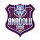 Anadoluspor photo