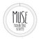 Muse Modern Music Academy photo