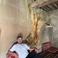 Resul A. picture Resul A. photo