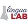 LinguaLAB imparare divertendosi! photo