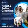 Ferhat Si Selim Cleaning picture Ferhat Si Selim Cleaning photo