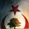 Kurabiye S. photo