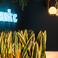 Work C Sanal Ofis photo
