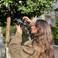 Melike A. picture Melike A. photo