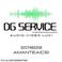 Dg Service Audio Video E Luci photo