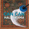Can Can Halı Yıkama photo