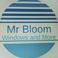 Mr bloom sas photo