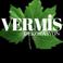 VERMIS DEKORASYON photo