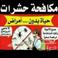 مؤسسة الفناء المتطورة  photo
