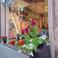Cbdesigner photo