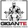 Performance training studio gigante photo