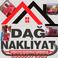 Sedat D. photo