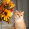 gizem B. photo
