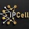 İPCell Network photo