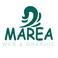 Marea Web E Graphic photo