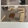 Studio Arch. Emiliana Bruschi photo
