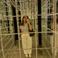 Zeynep Sude A. photo