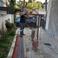 Mehmet Y. photo