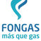 Fongas photo