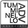 Tumminello ADV Associati photo