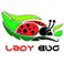 Lady bug photo