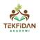 Tekfidan Akademi photo