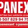 PANEX Ç. picture PANEX Ç. photo