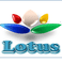 Lotus Site Yönetim Hizmetleri photo
