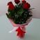 Seher G. photo