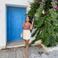 Damla D. photo