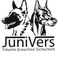 JuniVers Sicherheitsdienste GmbH photo