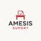 Amesis Suport SRL photo