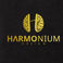 Harmonium D. photo