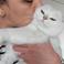 Burcu D. photo