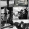 Selim D. photo