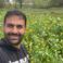 Kemal K. photo