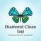 Diamond Clean Iasi photo