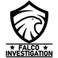 Falco Investigation photo