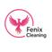 Fenix Cleaning Srl photo