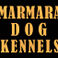 Marmara Dog Kennels photo