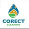 Corect Cleaning picture Corect Cleaning photo