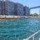 Dogan D. picture Dogan D. photo